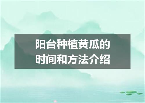 阳台种植黄瓜的时间和方法介绍