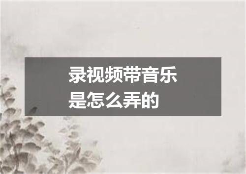 录视频带音乐是怎么弄的