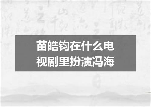 苗皓钧在什么电视剧里扮演冯海
