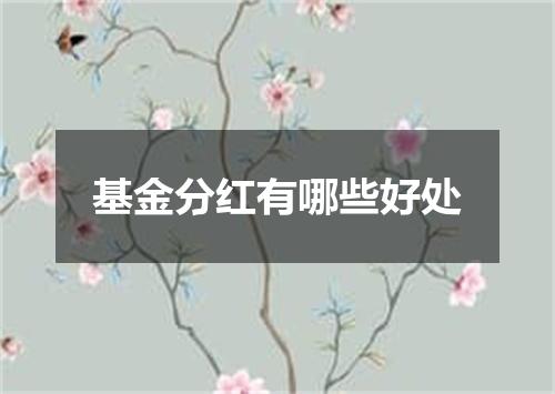 基金分红有哪些好处