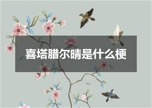 喜塔腊尔晴是什么梗