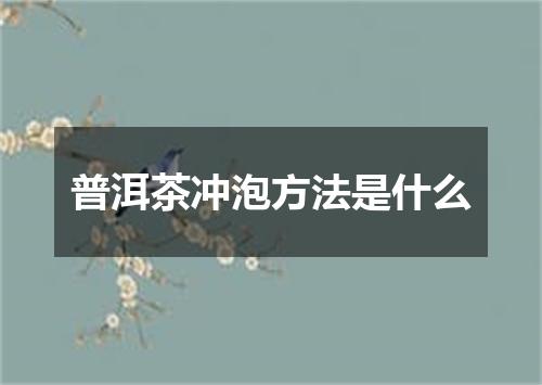 普洱茶冲泡方法是什么