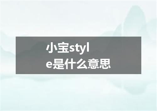 小宝style是什么意思