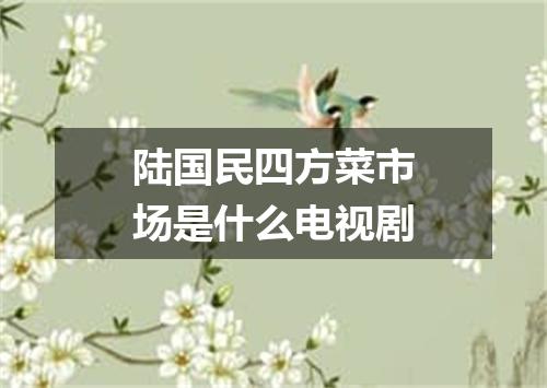 陆国民四方菜市场是什么电视剧
