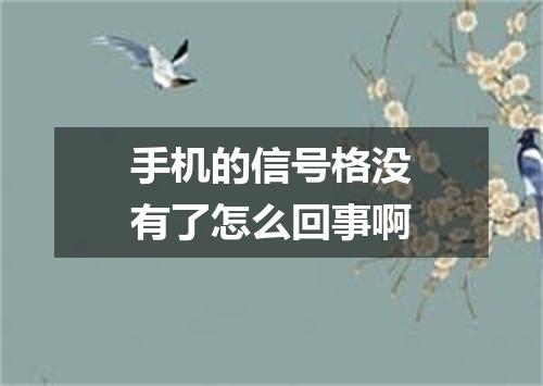 手机的信号格没有了怎么回事啊