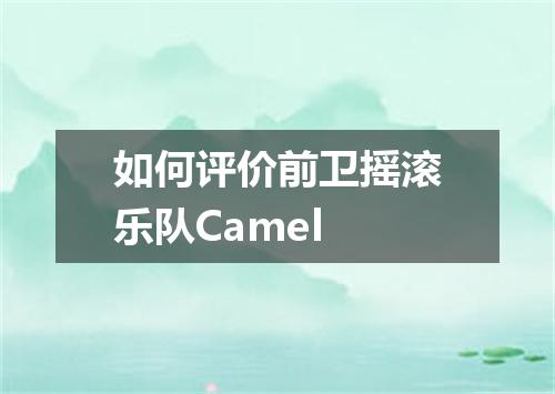 如何评价前卫摇滚乐队Camel