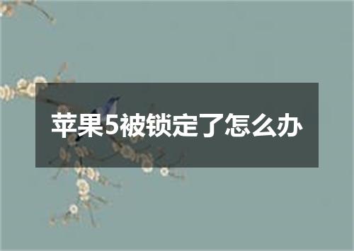 苹果5被锁定了怎么办