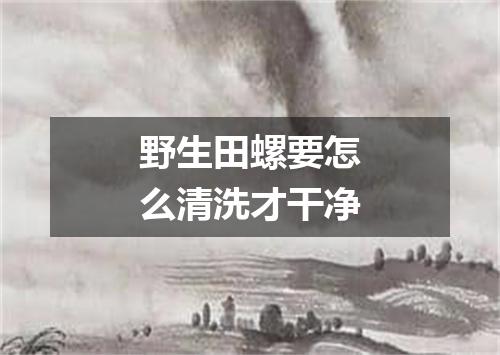 野生田螺要怎么清洗才干净