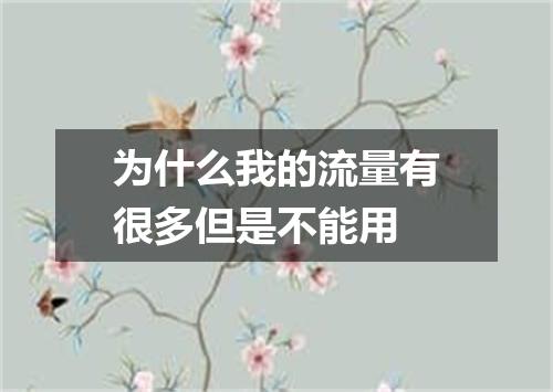 为什么我的流量有很多但是不能用
