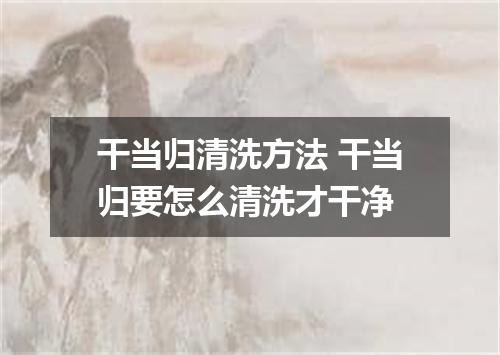 干当归清洗方法 干当归要怎么清洗才干净