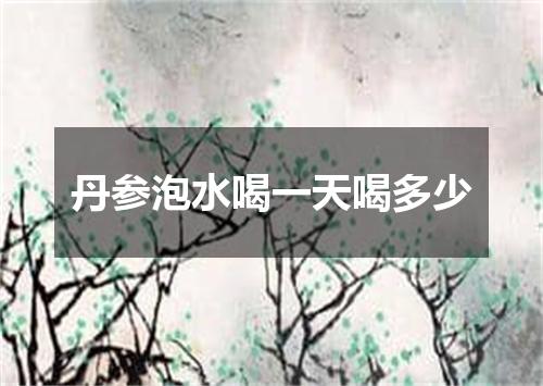 丹参泡水喝一天喝多少