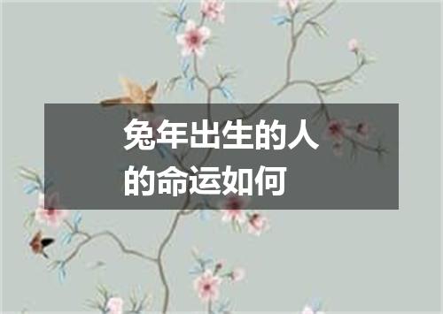 兔年出生的人的命运如何