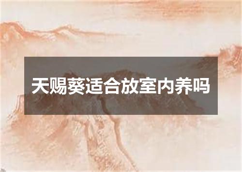 天赐葵适合放室内养吗