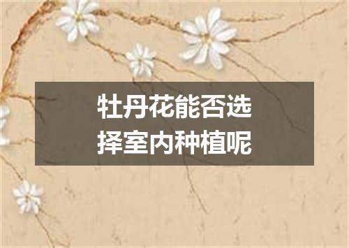 牡丹花能否选择室内种植呢