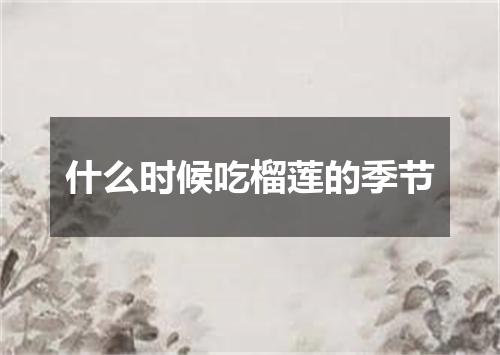 什么时候吃榴莲的季节