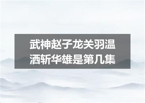 武神赵子龙关羽温洒斩华雄是第几集