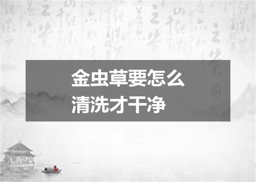 金虫草要怎么清洗才干净