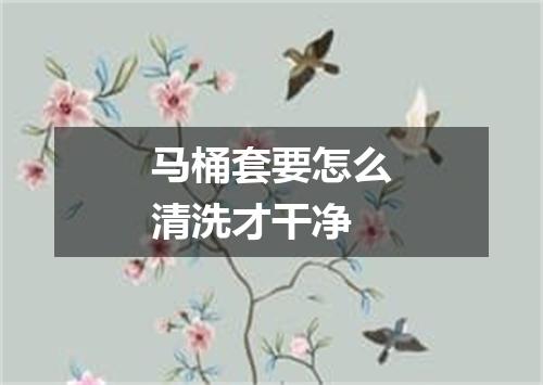 马桶套要怎么清洗才干净