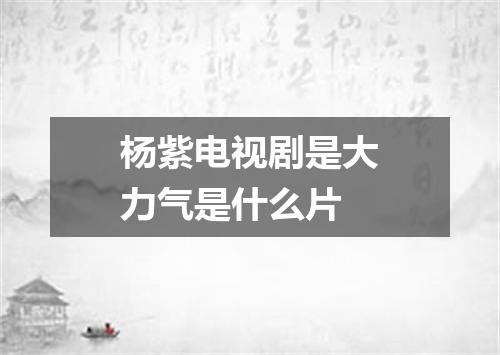 杨紫电视剧是大力气是什么片