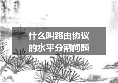 什么叫路由协议的水平分割问题