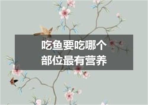 吃鱼要吃哪个部位最有营养