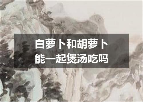 白萝卜和胡萝卜能一起煲汤吃吗