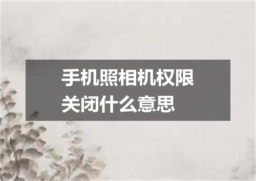 手机照相机权限关闭什么意思