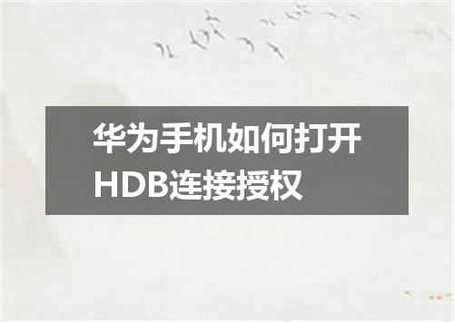 华为手机如何打开HDB连接授权