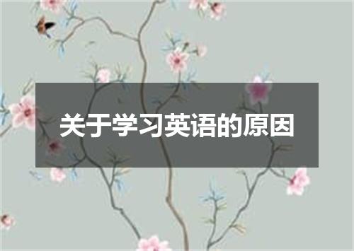 关于学习英语的原因
