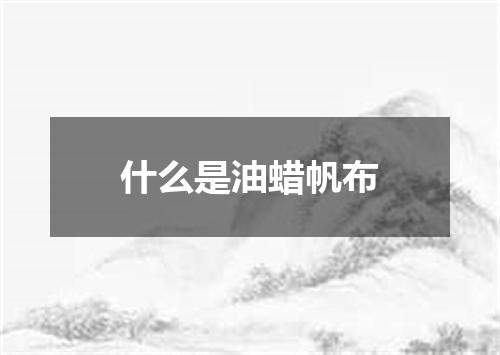 什么是油蜡帆布