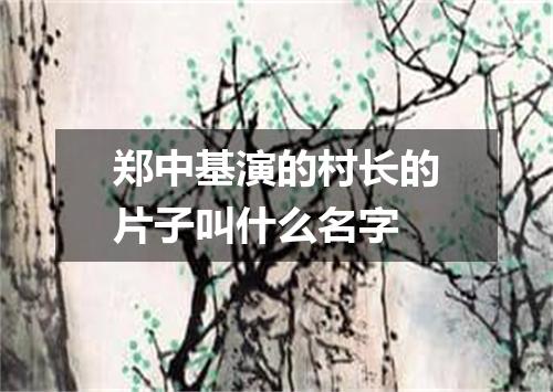 郑中基演的村长的片子叫什么名字