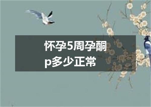 怀孕5周孕酮p多少正常