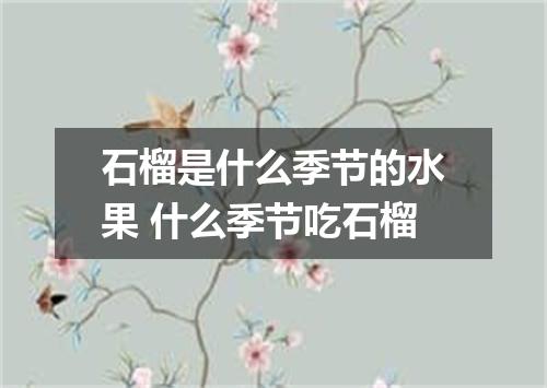 石榴是什么季节的水果 什么季节吃石榴