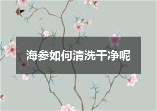 海参如何清洗干净呢