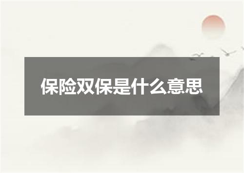 保险双保是什么意思