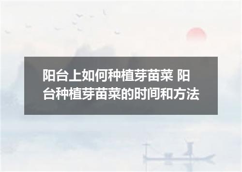 阳台上如何种植芽苗菜 阳台种植芽苗菜的时间和方法
