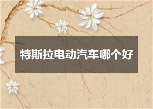 特斯拉电动汽车哪个好