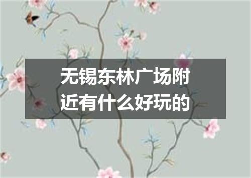 无锡东林广场附近有什么好玩的