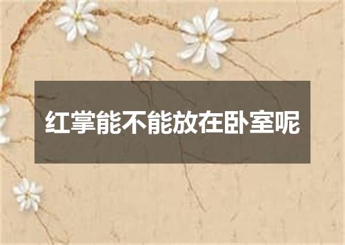 红掌能不能放在卧室呢