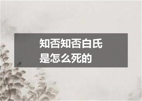 知否知否白氏是怎么死的