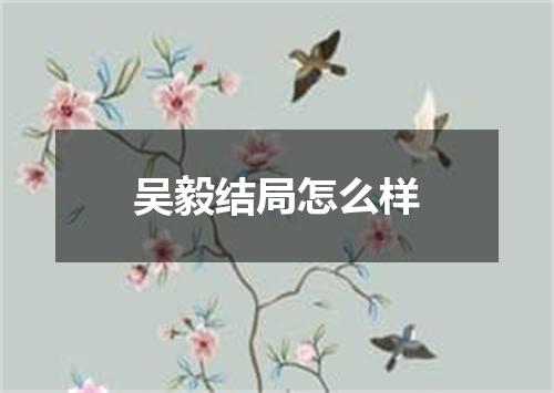 吴毅结局怎么样