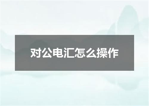 对公电汇怎么操作