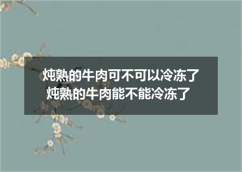炖熟的牛肉可不可以冷冻了 炖熟的牛肉能不能冷冻了