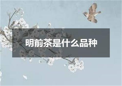 明前茶是什么品种