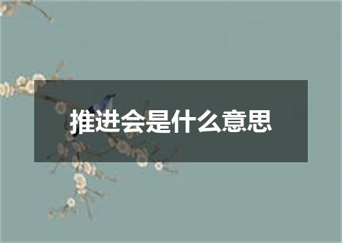 推进会是什么意思