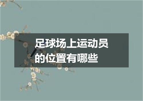 足球场上运动员的位置有哪些