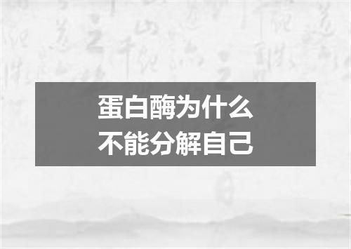 蛋白酶为什么不能分解自己