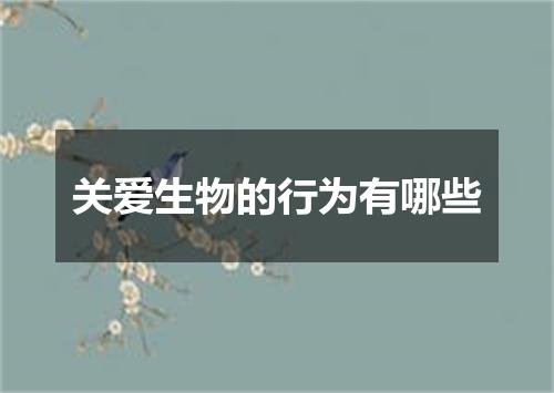 关爱生物的行为有哪些