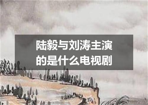 陆毅与刘涛主演的是什么电视剧