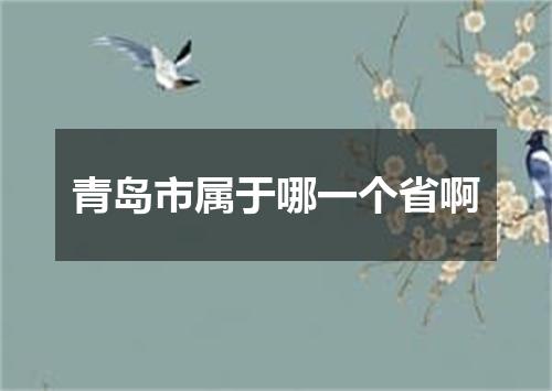 青岛市属于哪一个省啊